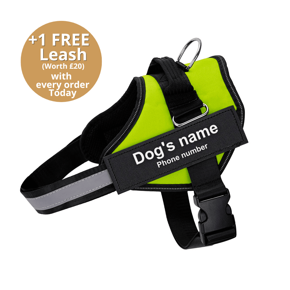 Pawbbi™ Ultimate Personalized No Pull Dog Harness