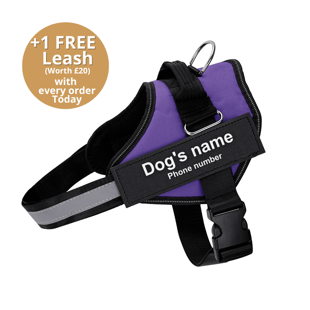 Pawbbi™ Ultimate Personalized No Pull Dog Harness