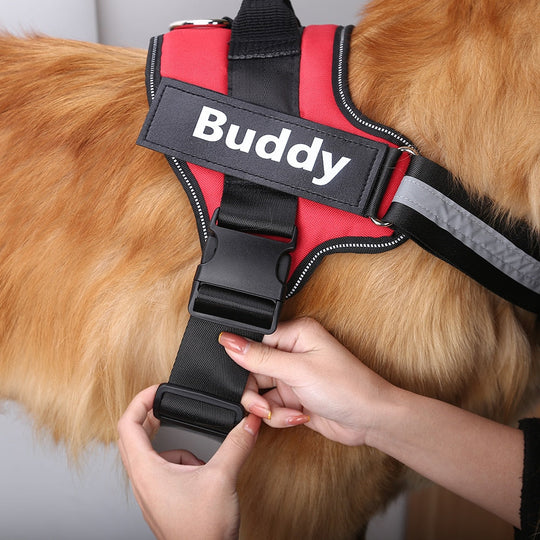 Pawbbi™ Ultimate Personalized No Pull Dog Harness