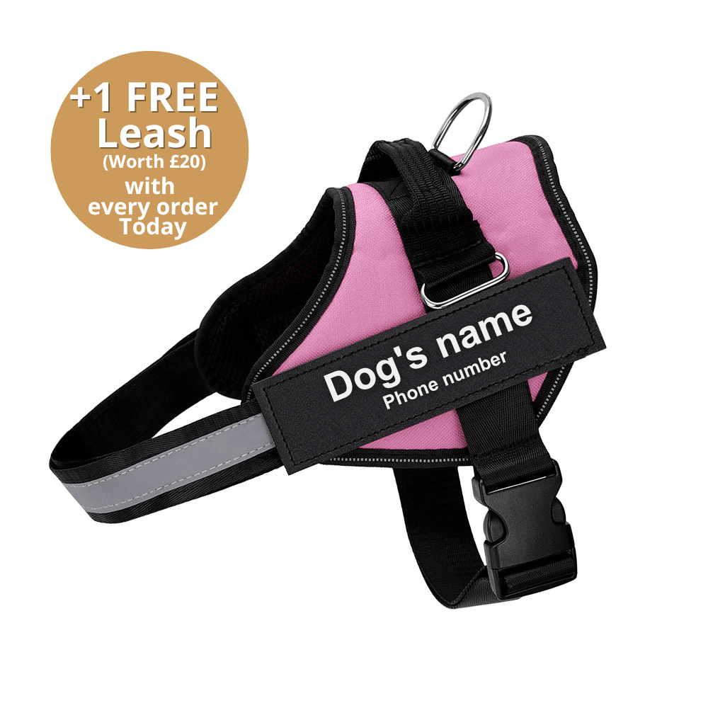 Pawbbi™ Ultimate Personalized No Pull Dog Harness