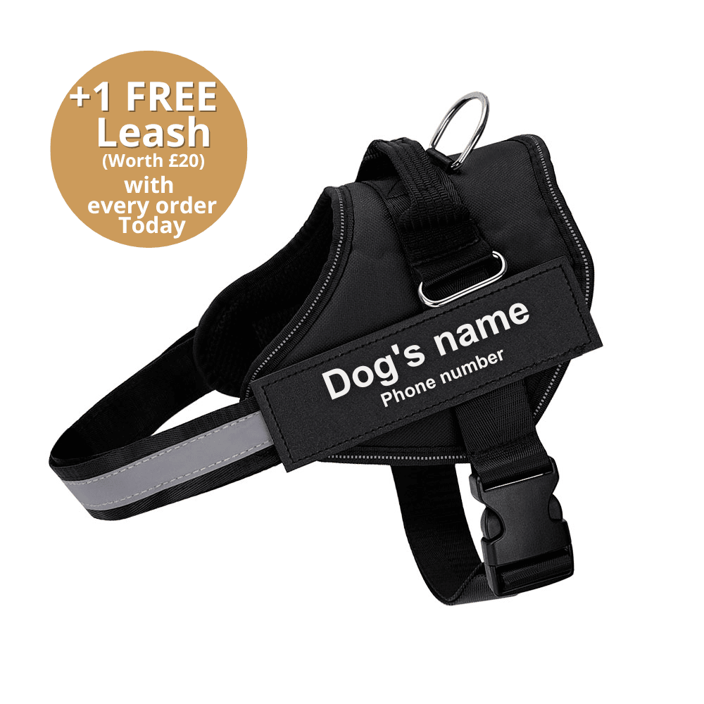 Pawbbi™ Ultimate Personalized No Pull Dog Harness
