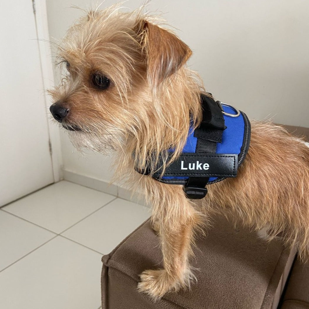 Pawbbi™ Ultimate Personalized No Pull Dog Harness