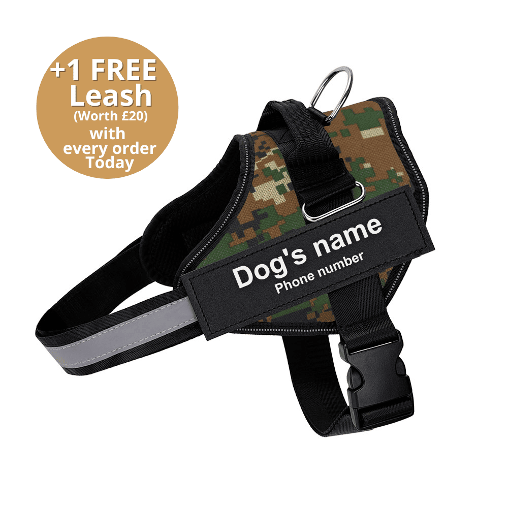 Pawbbi™ Ultimate Personalized No Pull Dog Harness