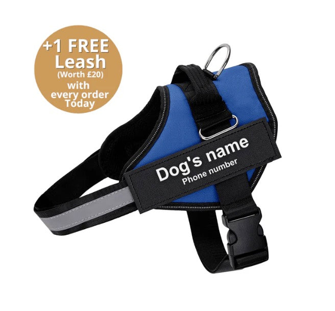 Pawbbi™ Ultimate Personalized No Pull Dog Harness