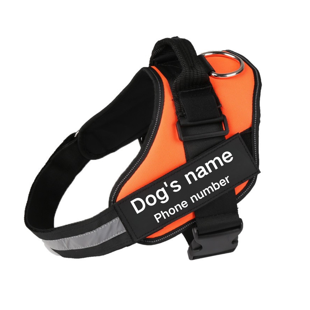 Pawbbi™ Ultimate Personalized No Pull Dog Harness