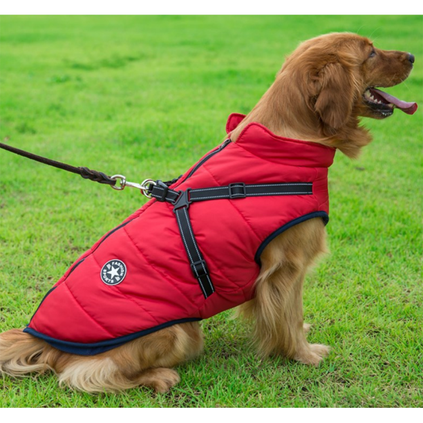 Pawbbi™ - Waterproof Jacket Harness - Blue