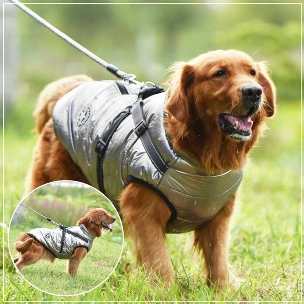 Pawbbi™ - Waterproof Jacket Harness - Blue
