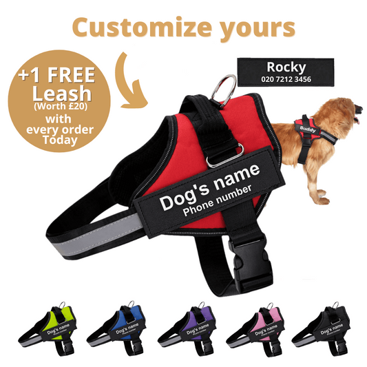 Pawbbi™ Ultimate Personalized No Pull Dog Harness