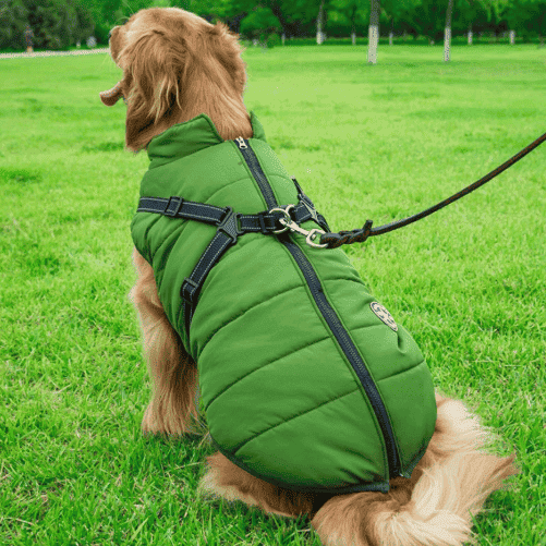 Pawbbi™ - Waterproof Winter Jacket with Built-in Harness