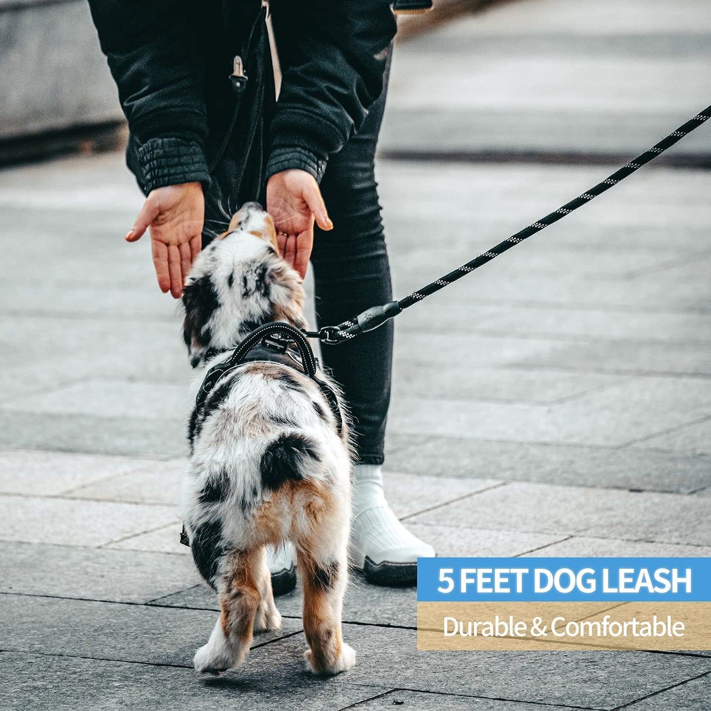 Pawbbi™-Easy Grip Ergonomic Leash