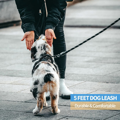 Pawbbi™-Easy Grip Ergonomic Leash