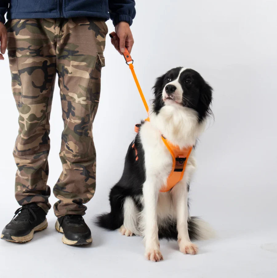 Pawbbi™ 3 in 1 Dog Harness with Built-In Leash