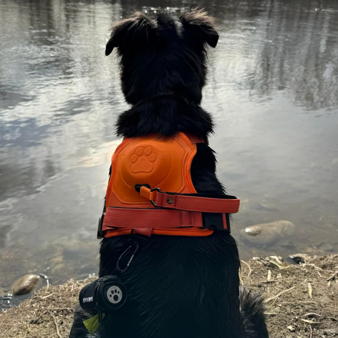 Pawbbi™ 3 in 1 Dog Harness with Built-In Leash