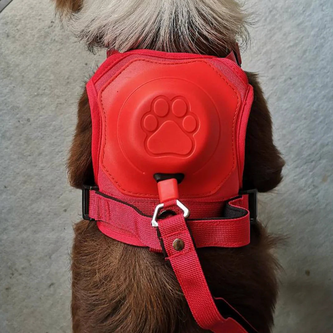 Pawbbi™ 3 in 1 Dog Harness with Built-In Leash