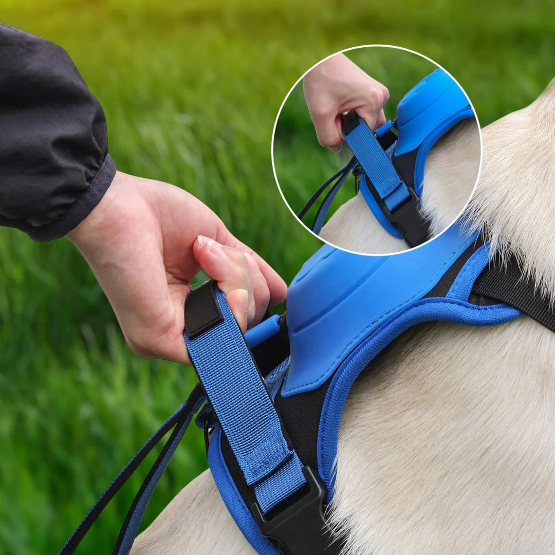 Pawbbi™ 3 in 1 Dog Harness with Built-In Leash