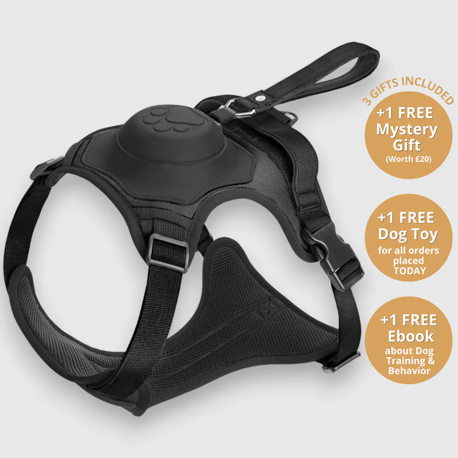 Pawbbi™ 3 in 1 Dog Harness with Built-In Leash