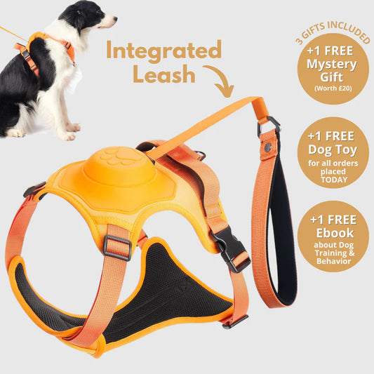 Pawbbi™ 3 in 1 Dog Harness with Built-In Leash