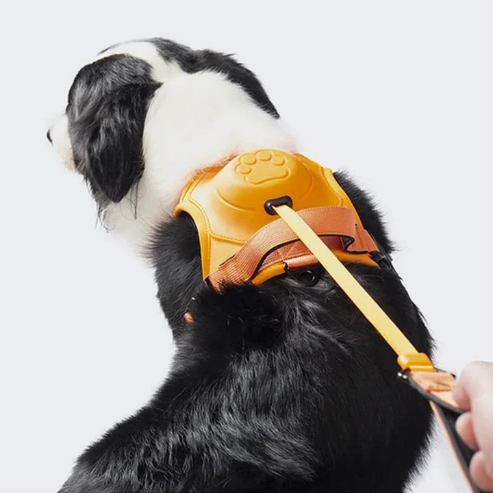Pawbbi™ 3 in 1 Dog Harness with Built-In Leash
