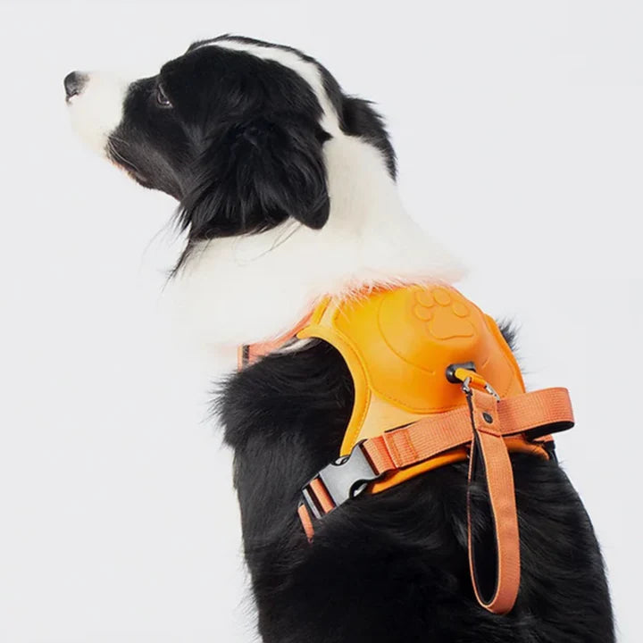 Pawbbi™ 3 in 1 Dog Harness with Built-In Leash