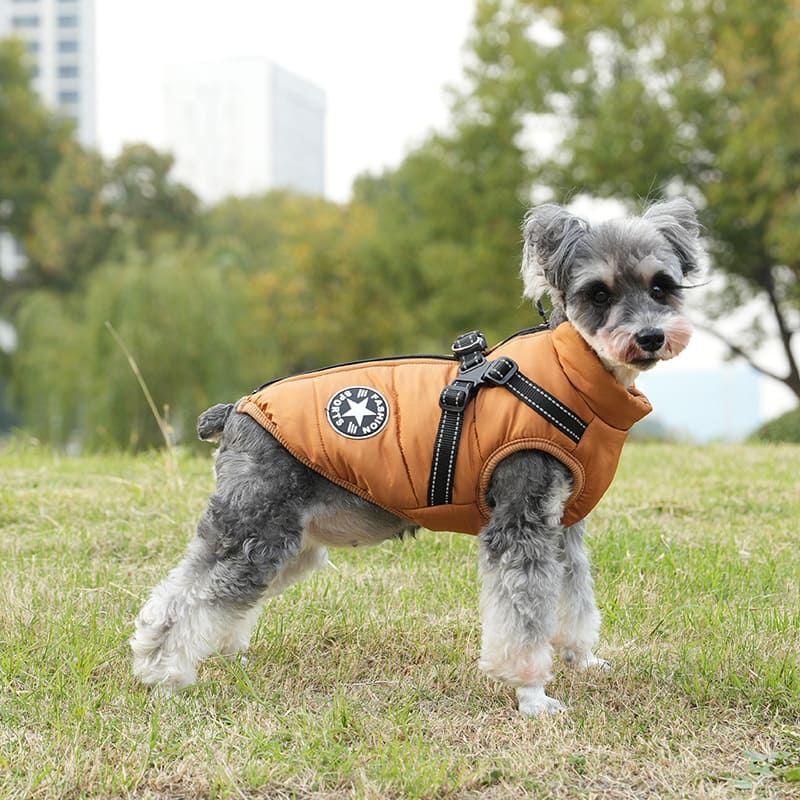 Pawbbi™ - Waterproof Winter Jacket with Built-in Harness