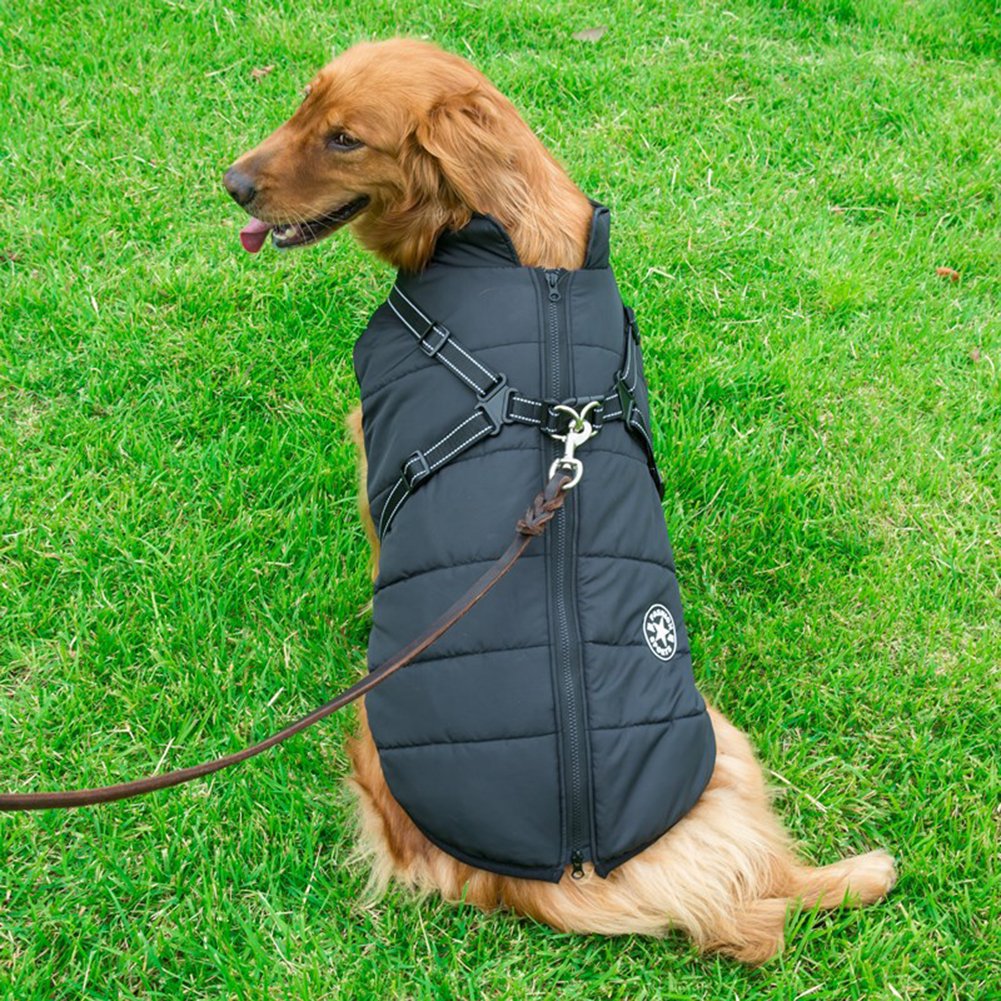 Pawbbi™ - Waterproof Winter Jacket with Built-in Harness