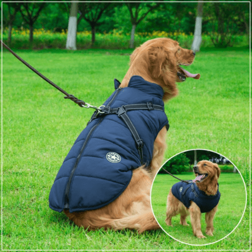 Pawbbi™ - Waterproof Winter Jacket with Built-in Harness