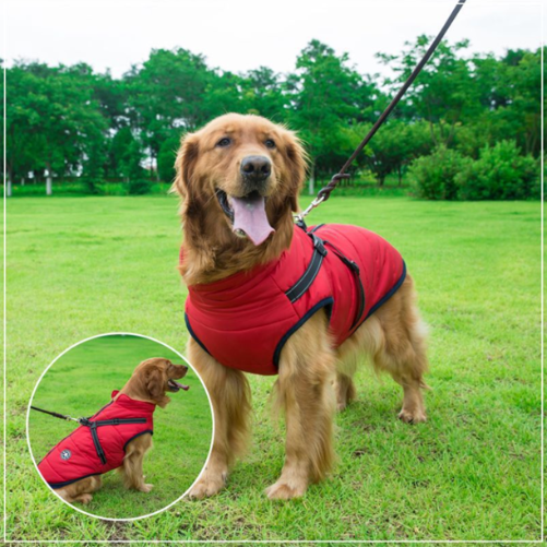 Pawbbi™ - Waterproof Winter Jacket with Built-in Harness