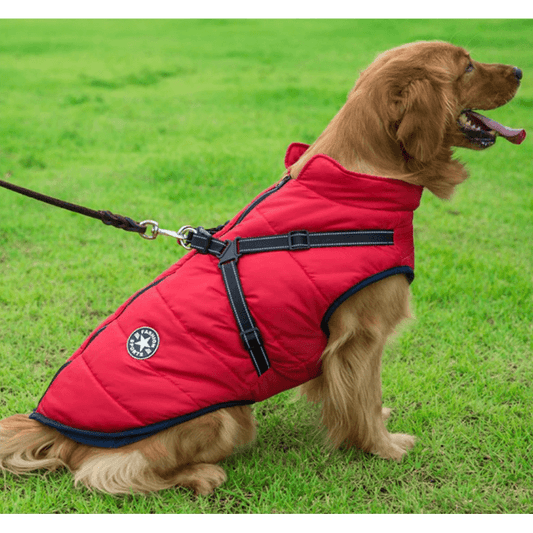 Pawbbi™ - Waterproof Winter Jacket with Built-in Harness