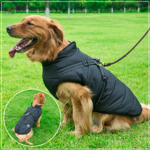 Pawbbi™ - Waterproof Winter Jacket with Built-in Harness